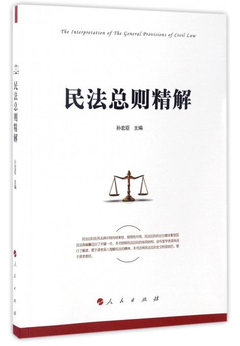 民法总则精解