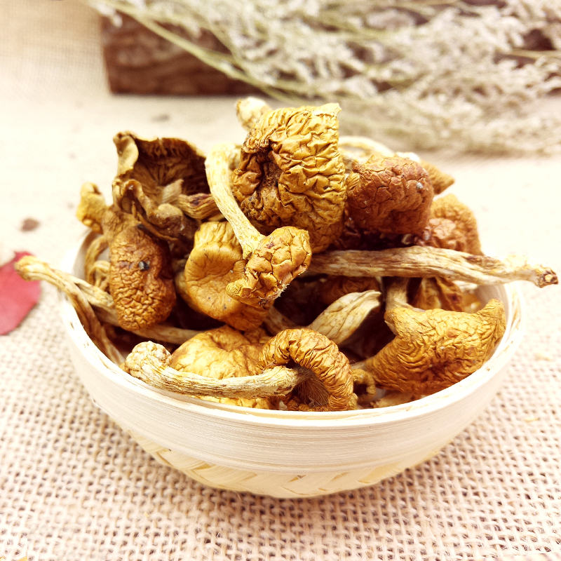 南北干货 榛蘑 松蘑 滑子蘑菇 姬松茸食用菌山货 滑子菇250g