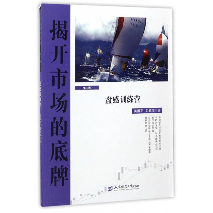 揭开市场的底牌(第3卷盘感训练营)