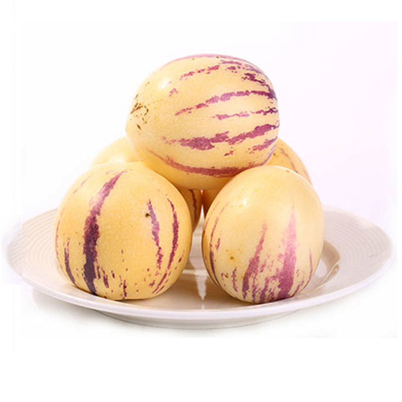 周力天甘肃人参果