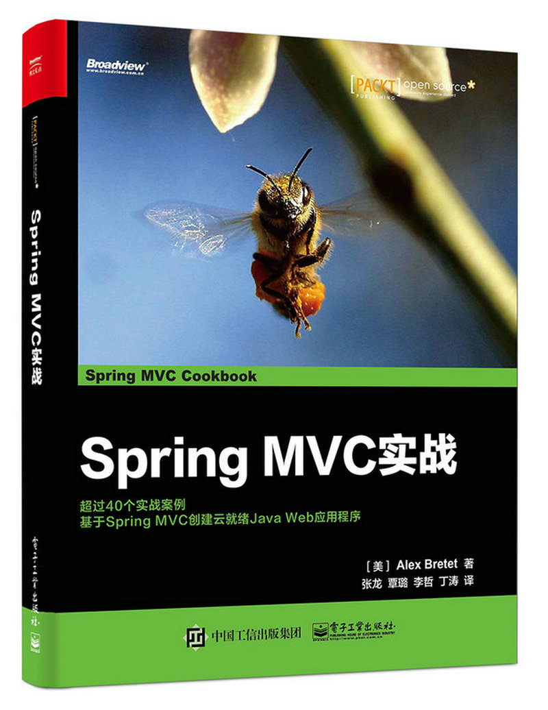 Spring MVC实战(博文视点出品)
