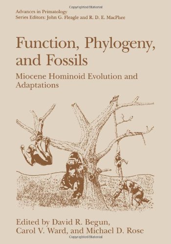 【预订】function, phylogeny, and fossils