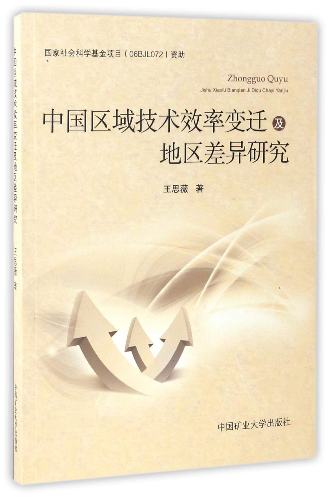 中国区域技术效率变迁及地区差异研究