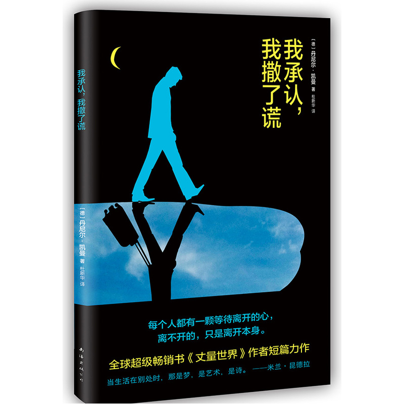我承认，我撒了谎 小说 书籍
