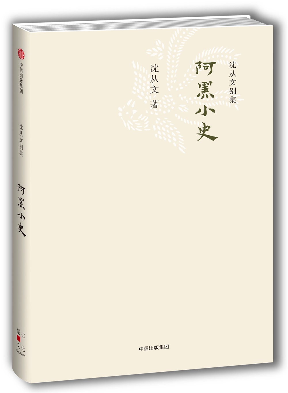 沈从文别集 阿黑小史 中信出版社