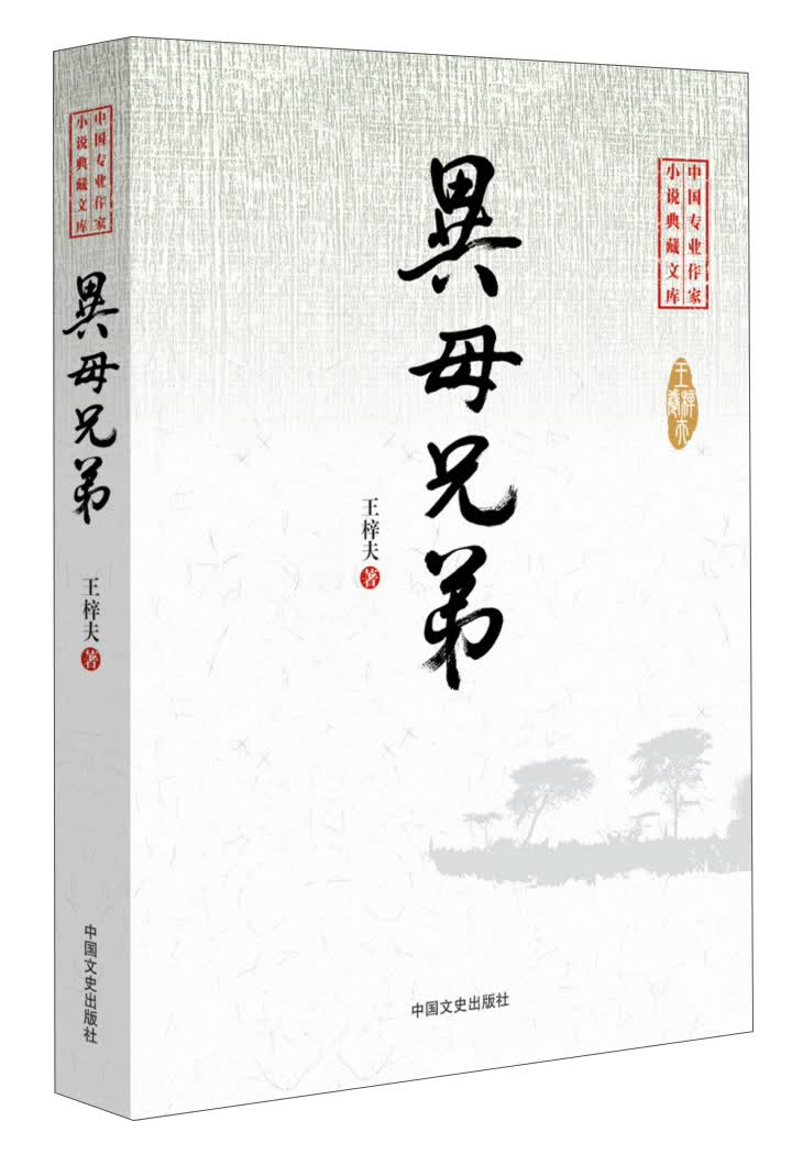 中国专业作家小说典藏文库：异母兄弟