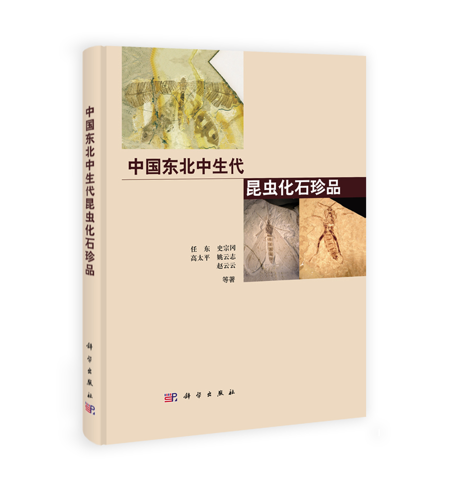 中国东北中生代昆虫化石珍品