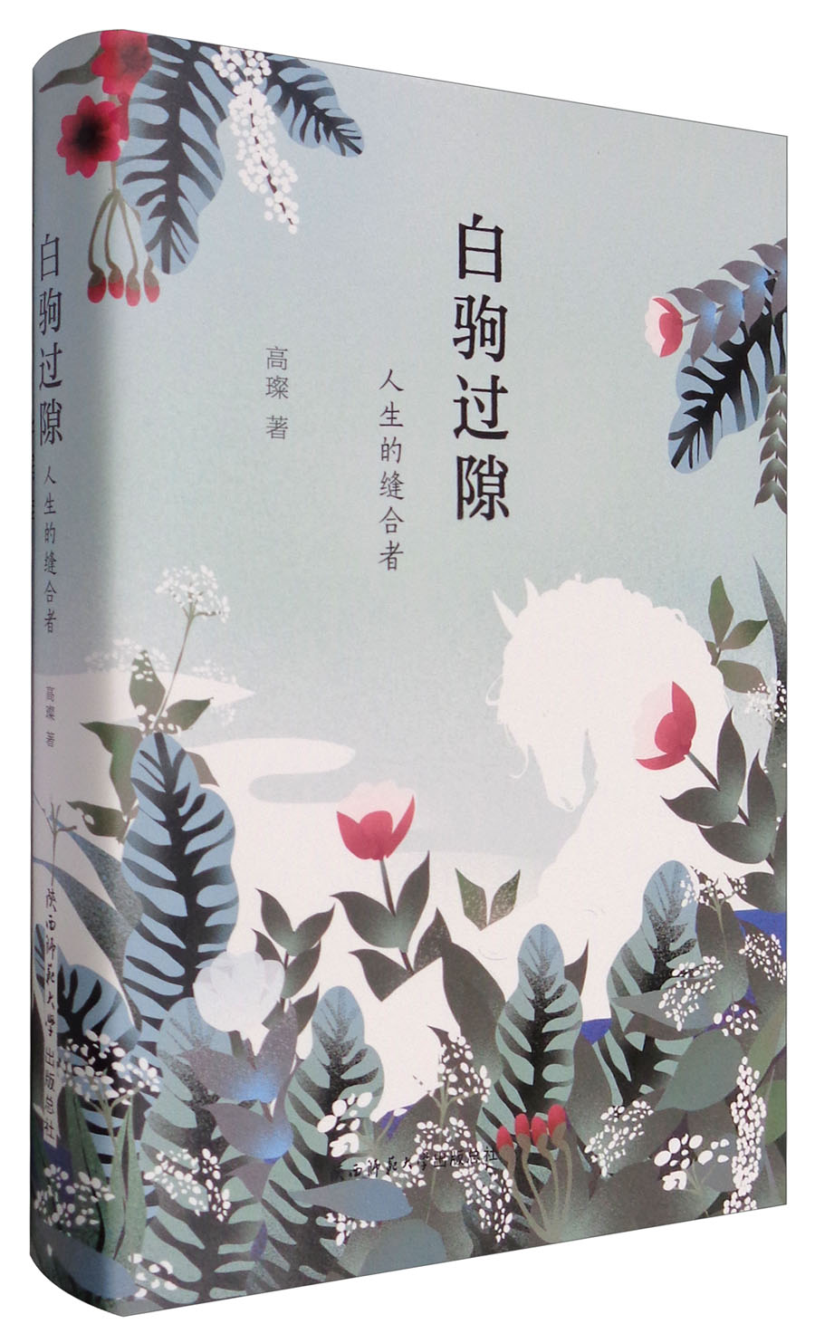 白驹过隙:人生的缝合者池柳