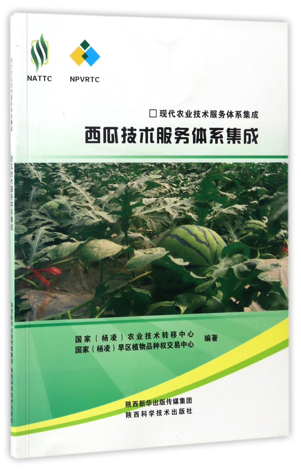 西瓜技术服务体系集成/现代农业技术服务体
