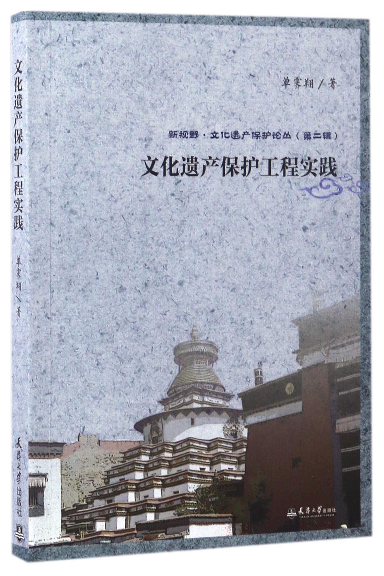 二手99新】新视野·文化遗产保护论丛 文化遗产保护