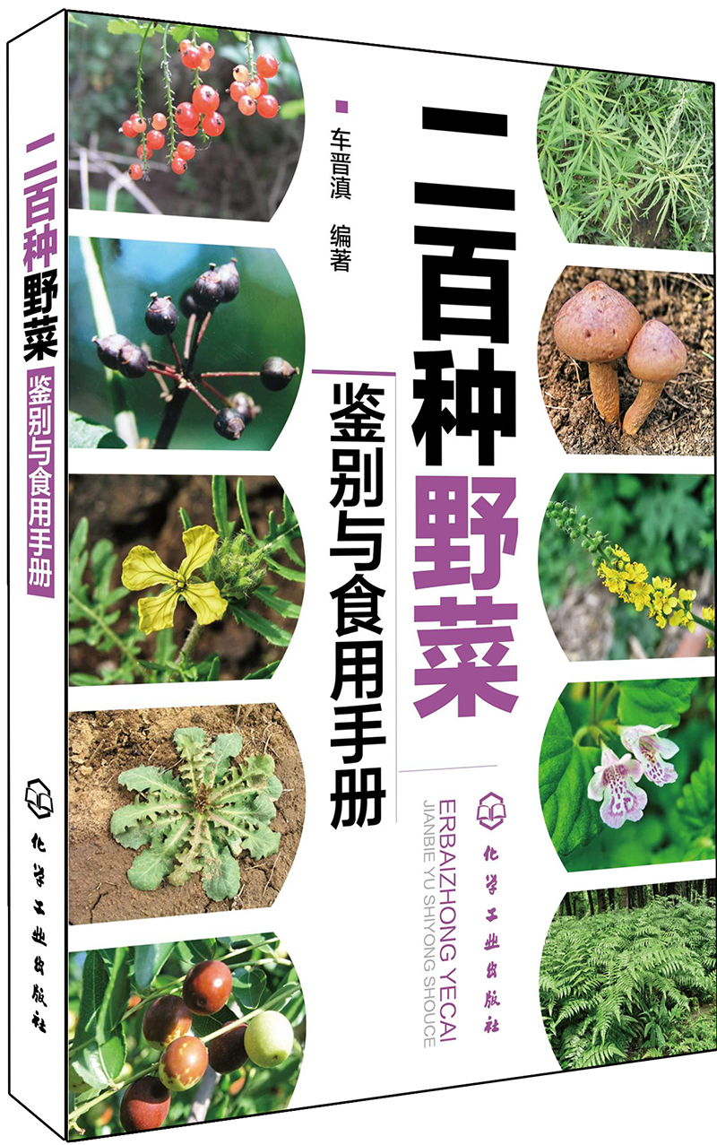 二百种野菜鉴别与食用手册