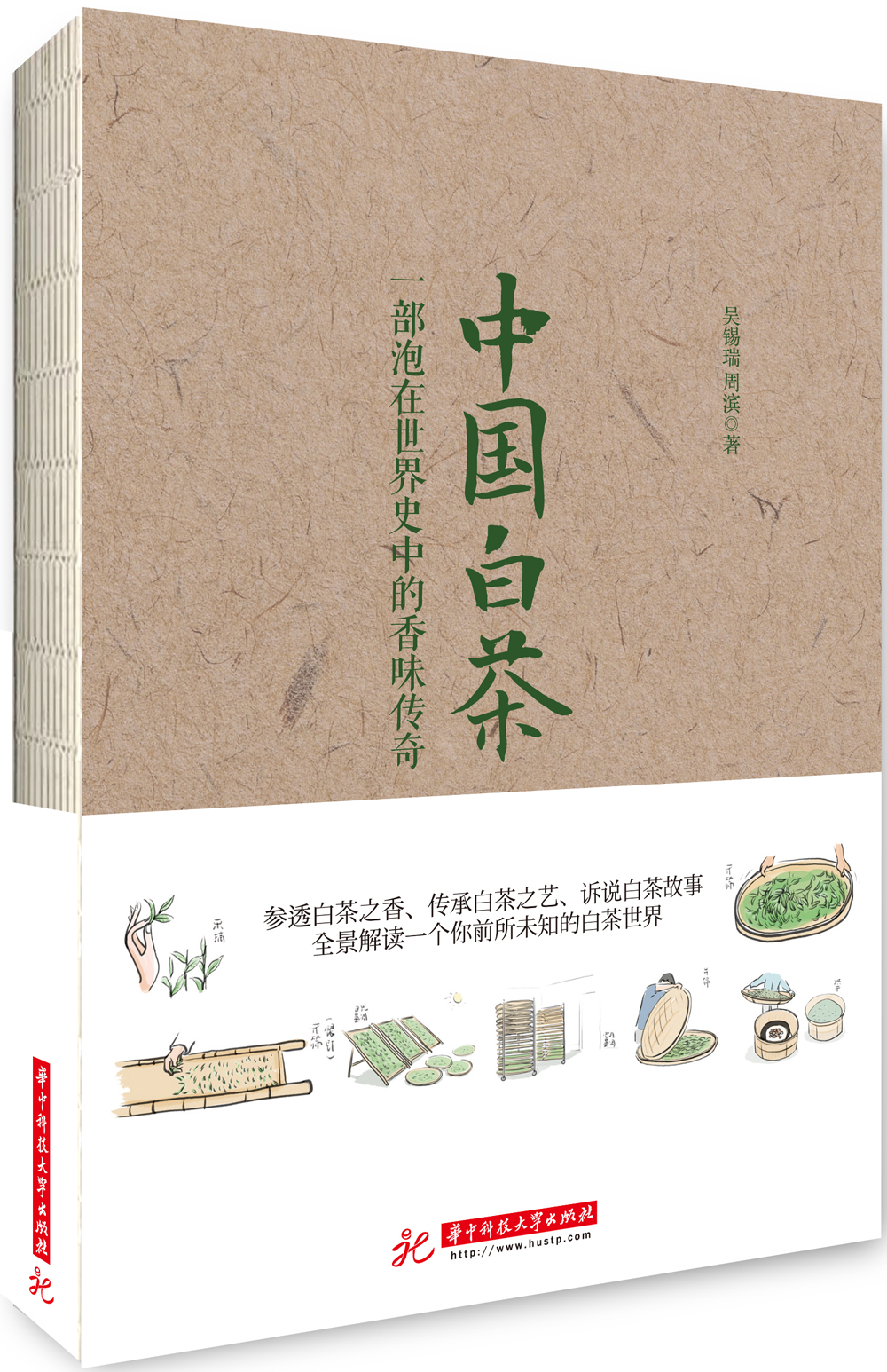 中国白茶：一部泡在世界史中的香味传奇