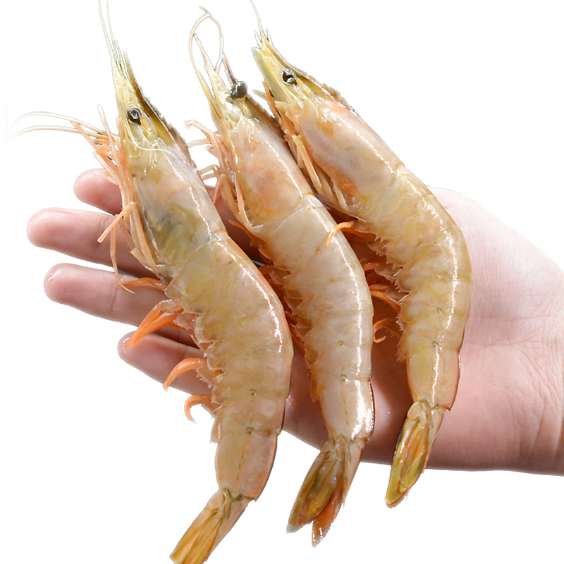 三座海 新鲜大虾 1000g 18-20只 烟台海捕对虾 大对虾 鲜虾 鲜活海虾冷冻发出 海鲜礼盒