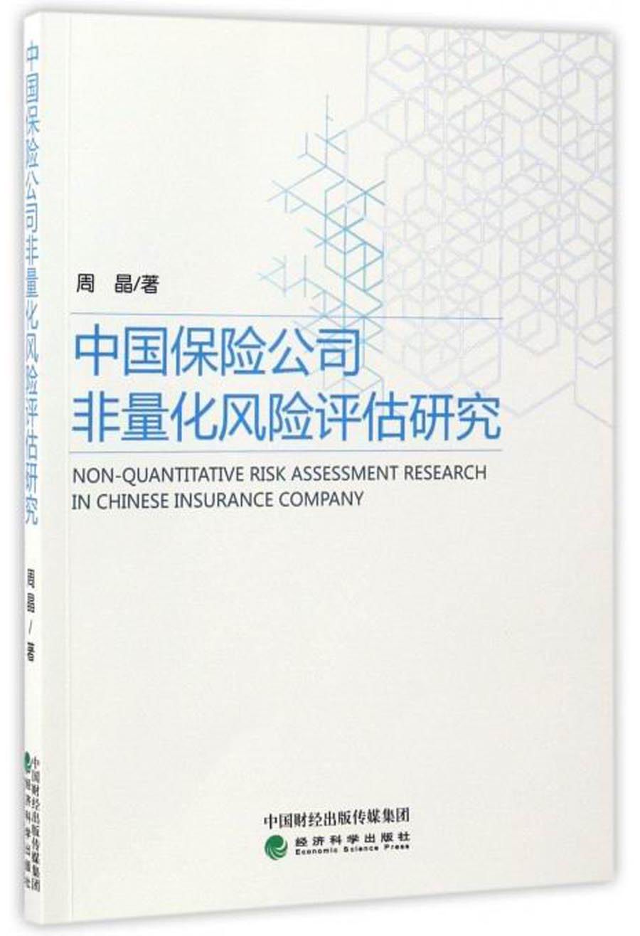 中国保险公司非量化风险评估研究