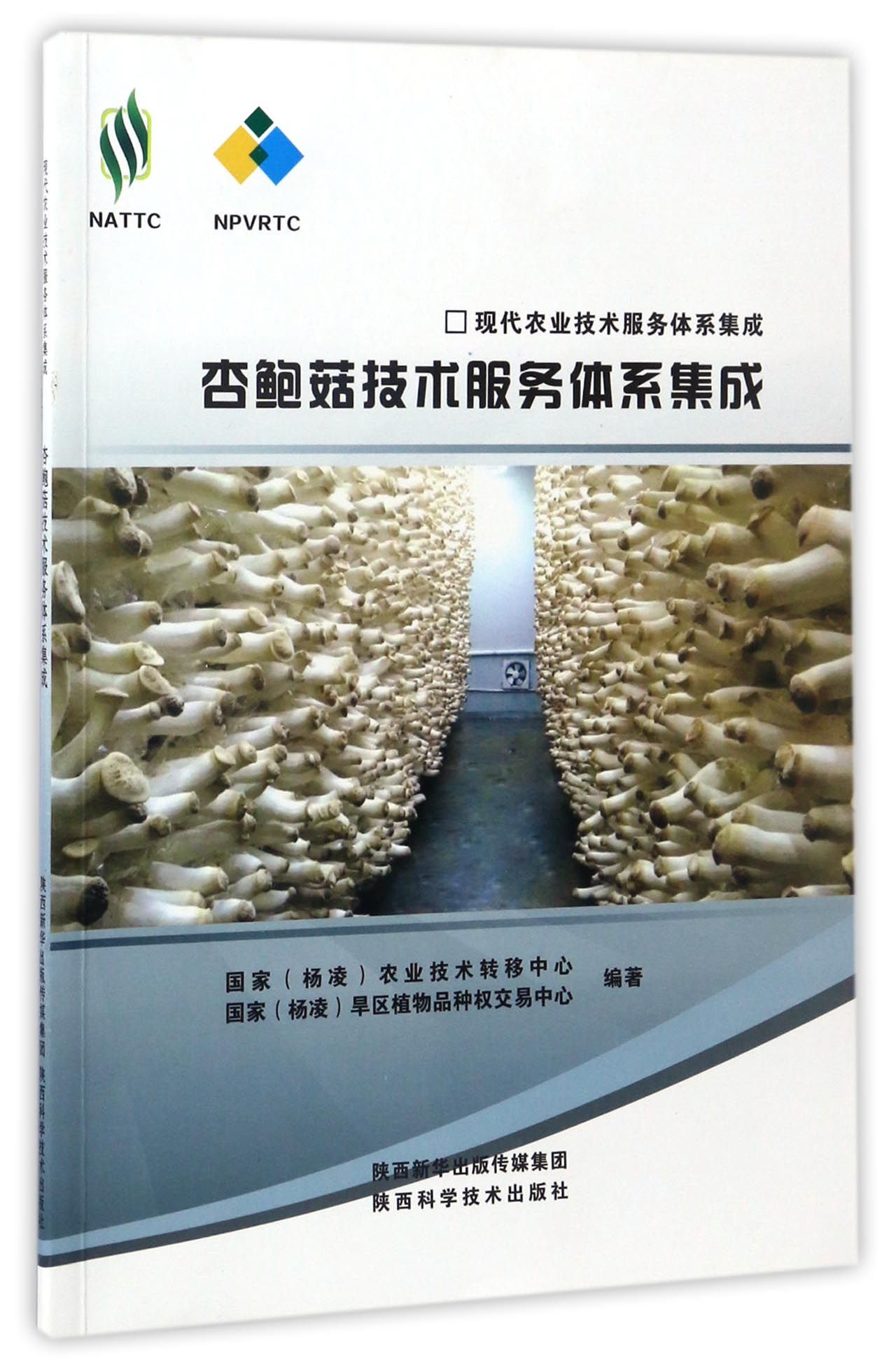 杏鲍菇技术服务体系集成/现代农业技术服务