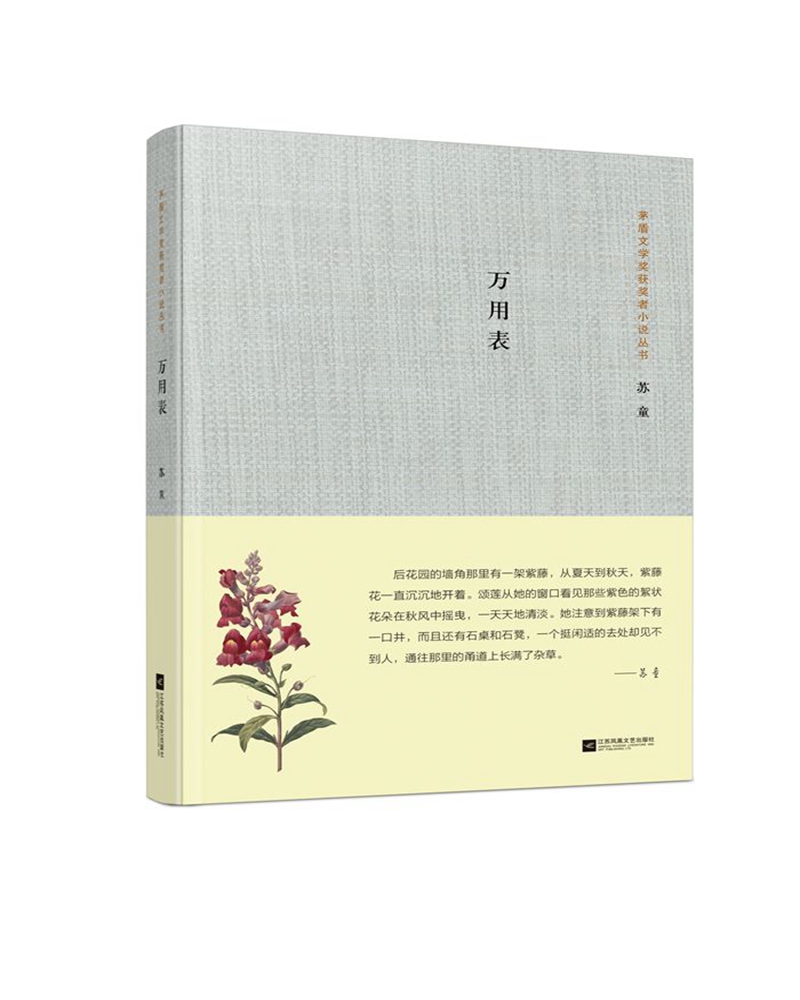 茅盾文学奖获奖者小说丛书：万用表