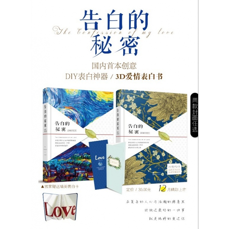 告白的秘密 国内首本纯手工DIY表白神器两款封面随机发货