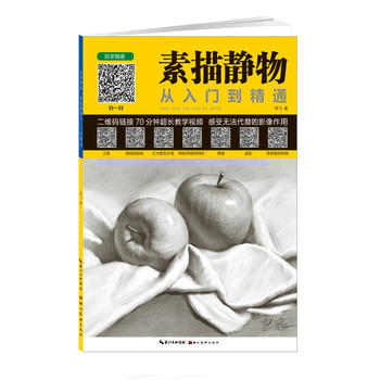 美教室自学画画 素描静物从入门到精通
