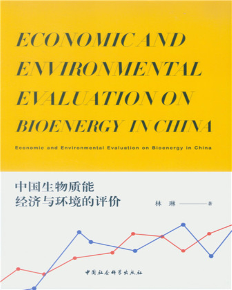 中国生物质能经济与环境的评价
