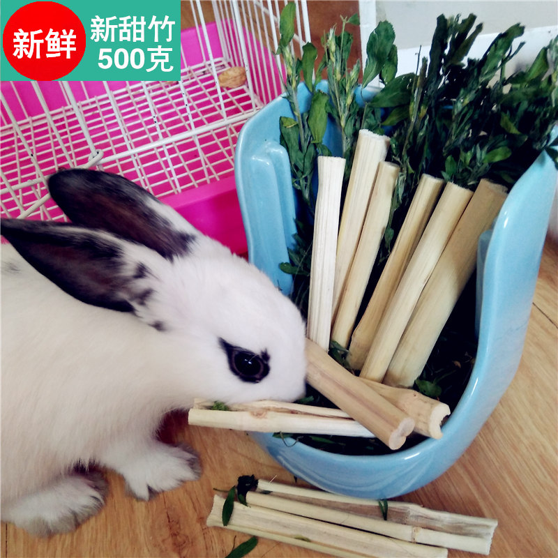 深度爆料评测咪贝萌兔子磨牙棒质量究竟咋样？评测两星期感受告知