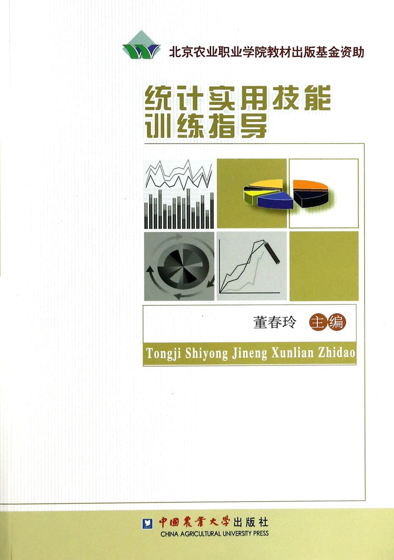 统计实用技能训练指导
