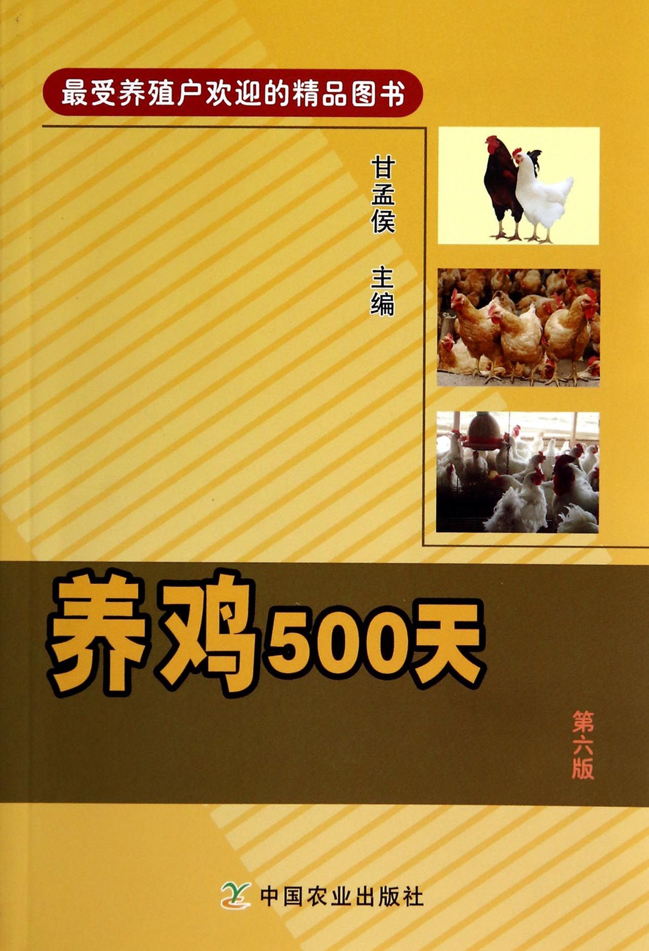 养鸡500天(第6版)
