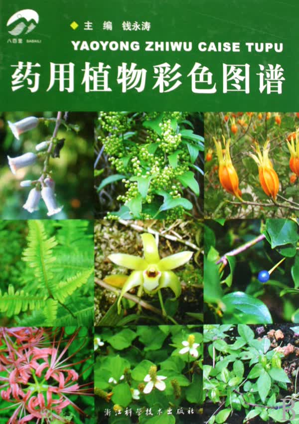 药用植物彩色图谱(精)