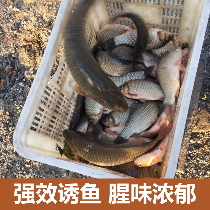 盈龙 黑坑野钓红虫粉鲫鲤饵料草青鱼饵料腥味钓鱼用品 红虫粉500克