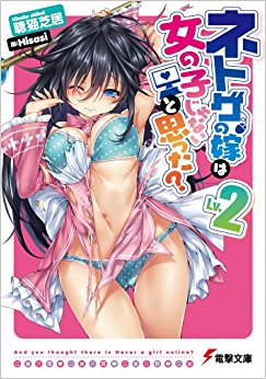 ネトゲの嫁は女の子じゃないと思った? Lv.2