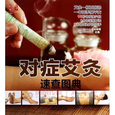 对症艾灸速查图典
