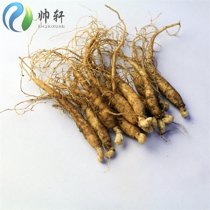 山参苗.长白山新鲜人参苗.活人参小苗  人参种子成活率高 2年一棵价格