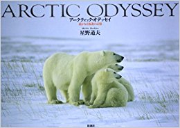 アークティック?オデッセイ 遥かなる極北の記憶