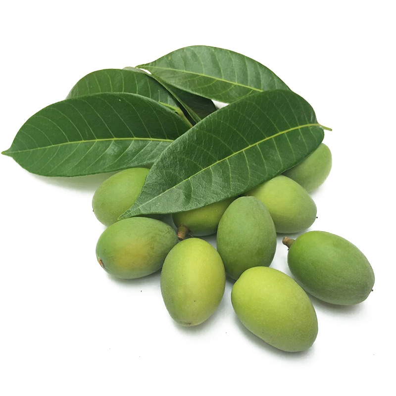 半亩庄园 新鲜青橄榄 橄榄果生青果3斤 沙榄白榄 泡酒煲汤新鲜水果 3