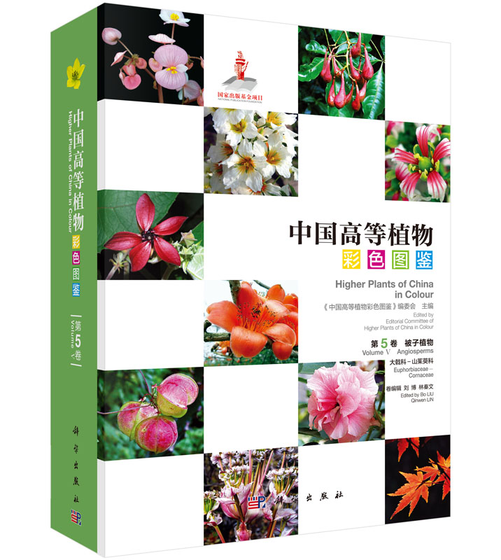 中国高等植物彩色图鉴第五卷被子植物大戟科山茱萸科