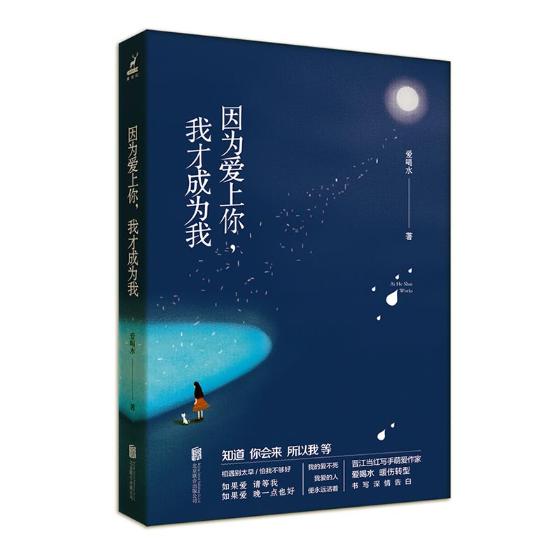 因为爱上你，我才成为我 小说 书籍