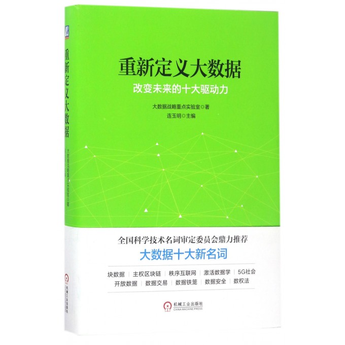 重新定义大数据(改变未来的十大驱动力)(精)