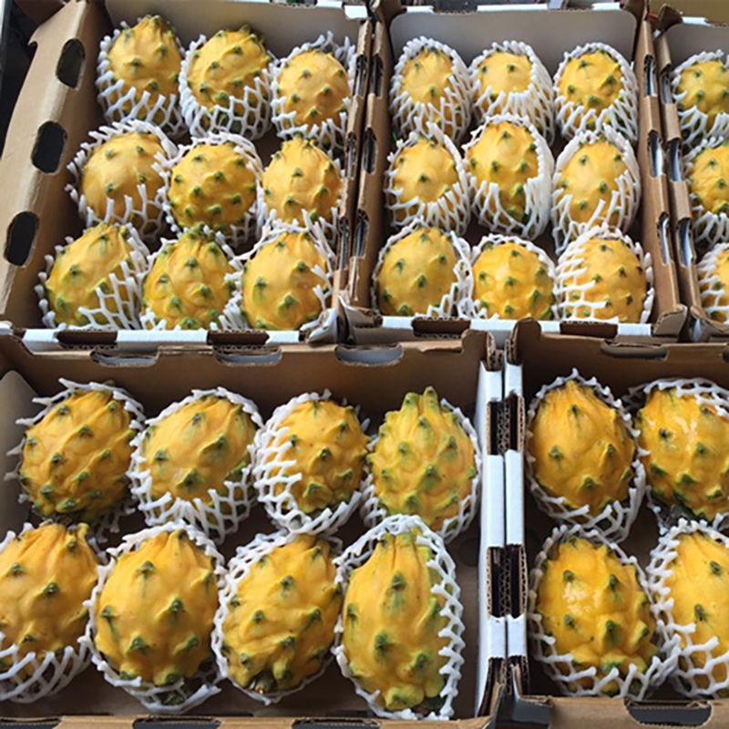 星云湖海南麒麟果