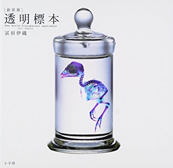 新世界透明標本