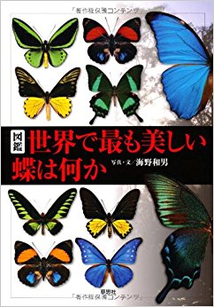 図鑑世界で最も美しい蝶は何か