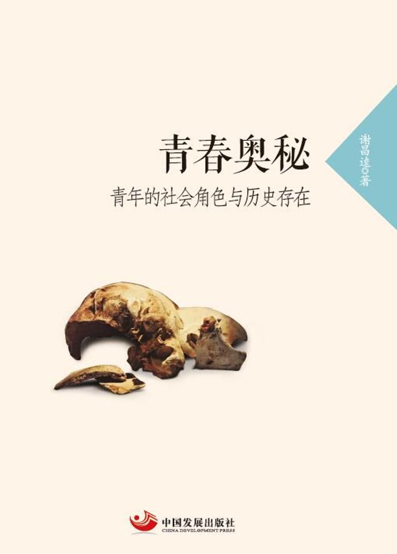 青春奥秘：青年的社会角色与历史存在