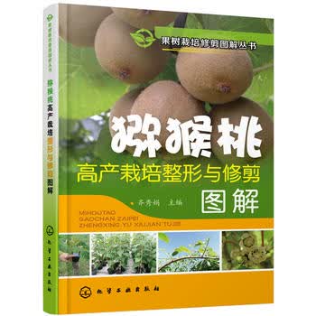 猕猴桃高产栽培整形与修剪图解