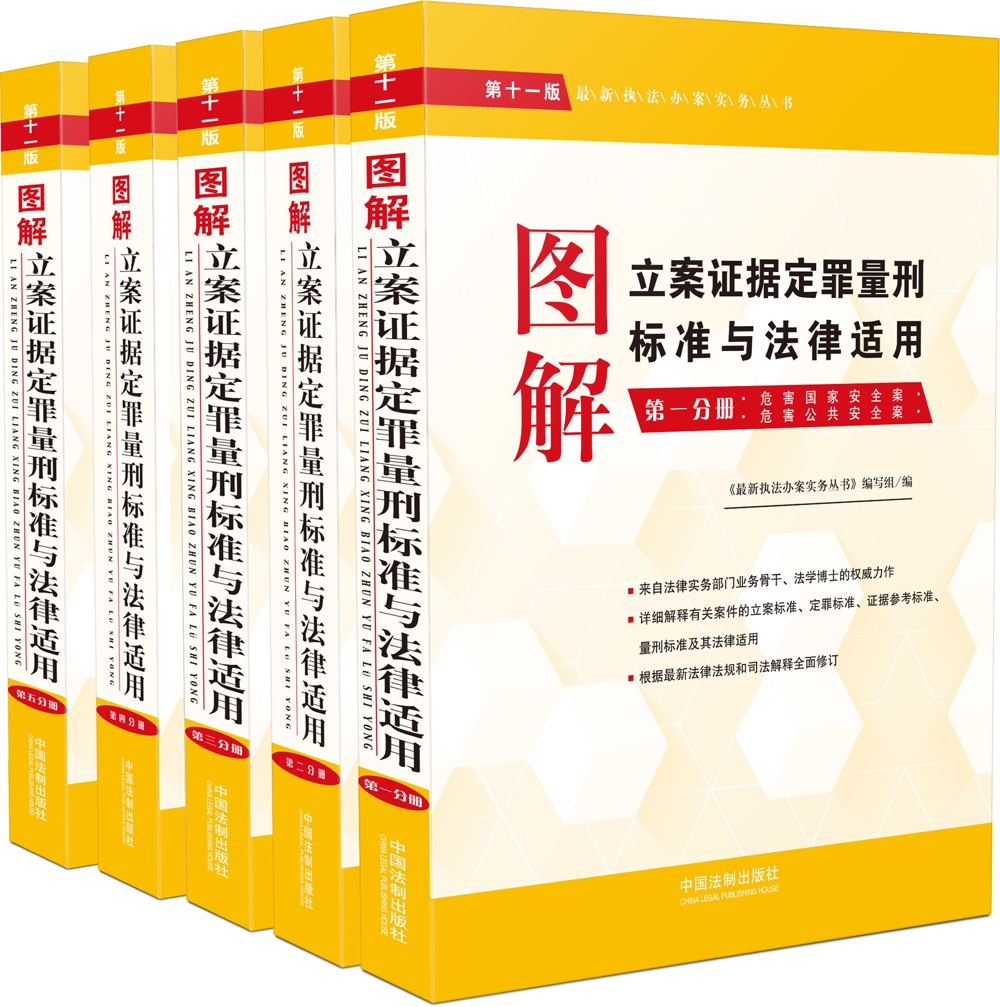 图解立案证据定罪量刑标准与法律适用套装（套装共5册）