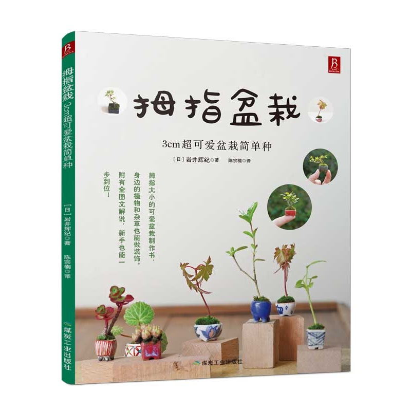 拇指盆栽-3cm超可爱盆栽简单种