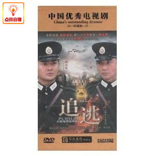 电视剧 追逃(12dvd)   印小天 任帅