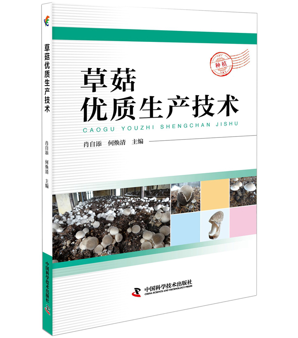 草菇优质生产技术