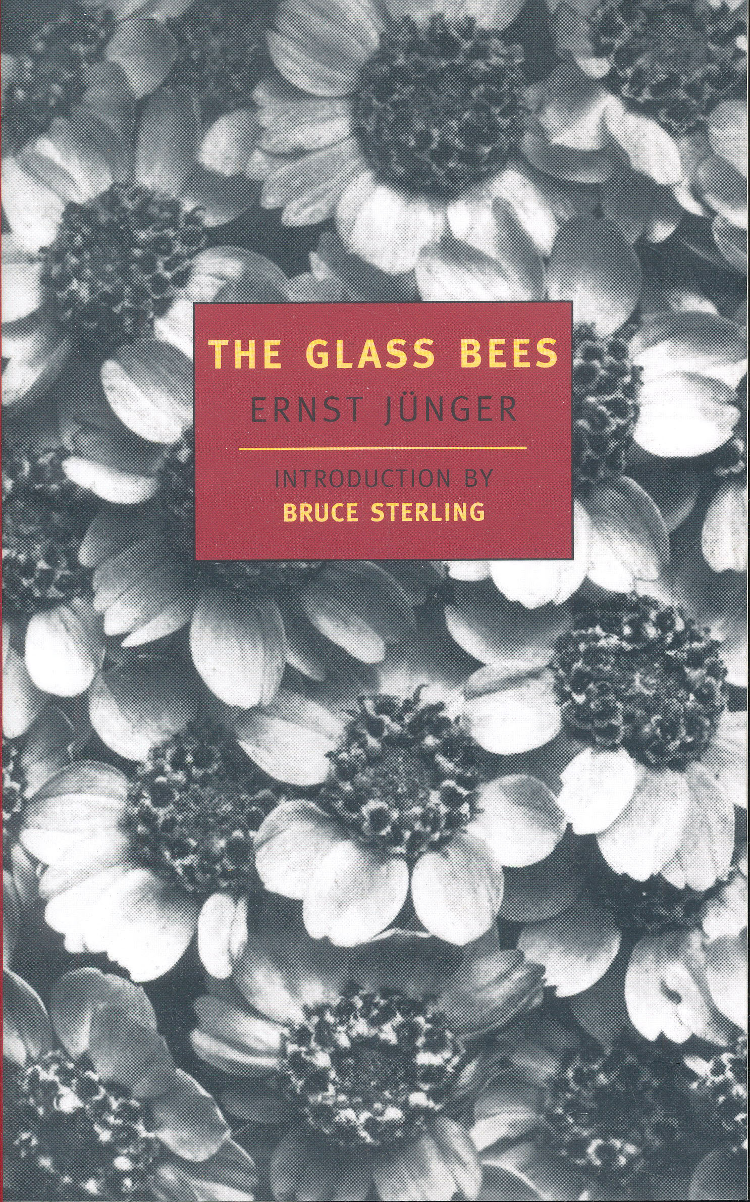 the glass bees