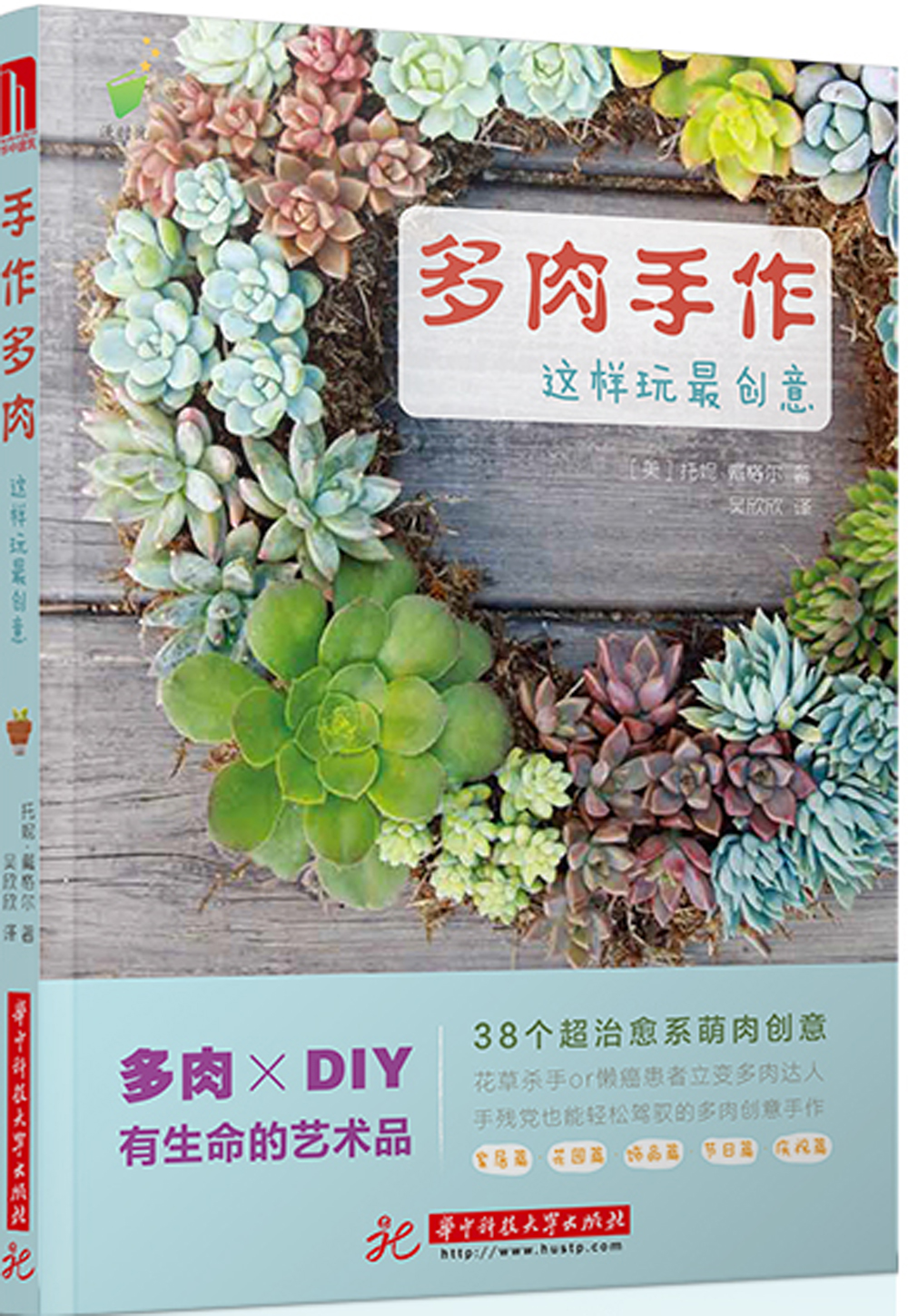 多肉手作，这样玩最创意！
