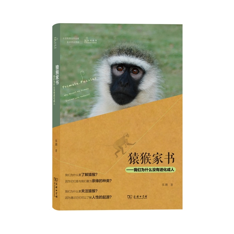 猿猴家书-我们为什么没有进化成人