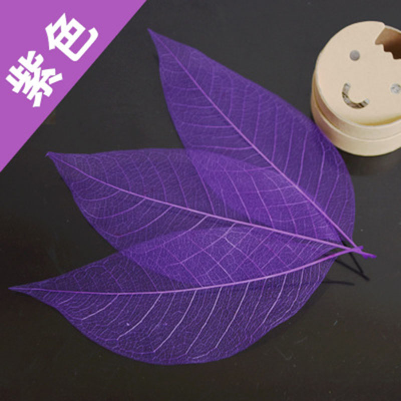 亚众 天然玉兰叶脉书签 教师节送礼物 创意植物树叶标本古典中国风