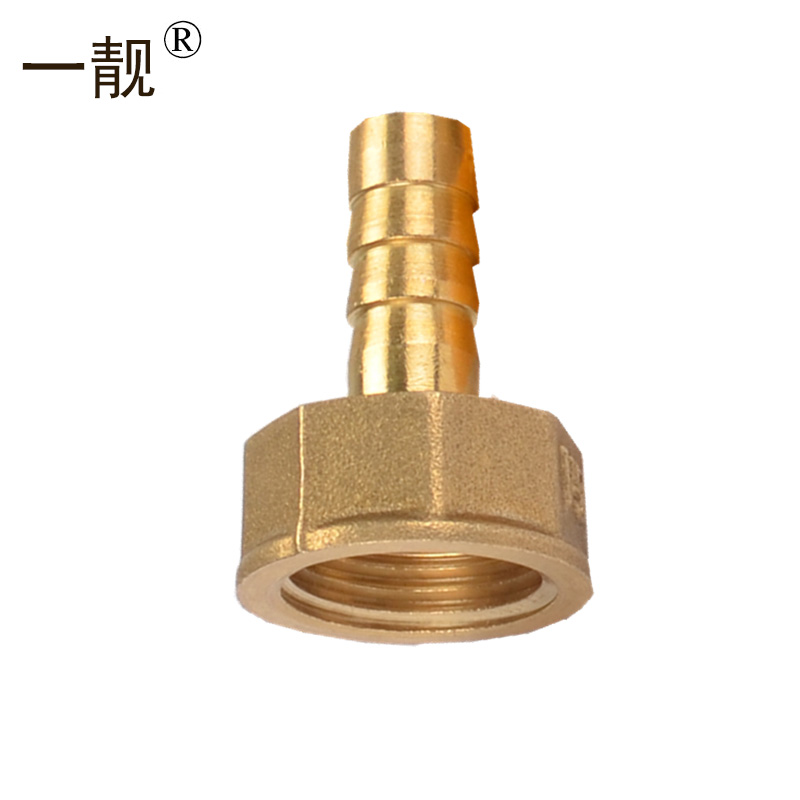 一靓 燃气管转接头天然气热水器灶具转接头 a6款:4分内丝转宝塔接头